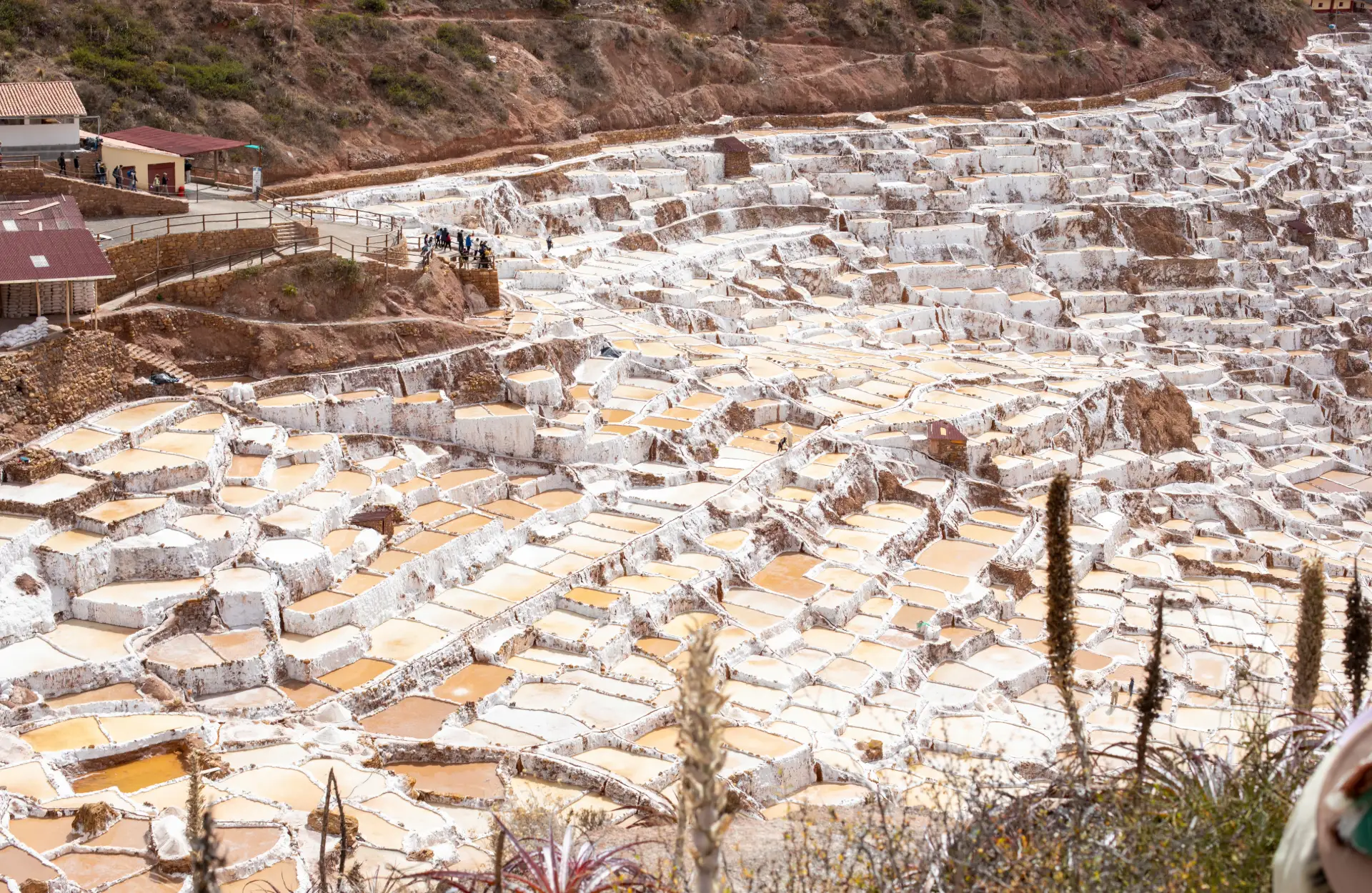 MARAS_MORAY_&_SALINERAS Maras, Moray & Salineras: Explora Moray, Maras y sus salineras en este viaje único por el Valle Sagrado.